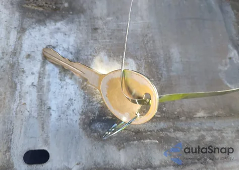 2001 Dodge Ram 1500 St from USA, damaged, VIN 1B7HC13Z01J244253